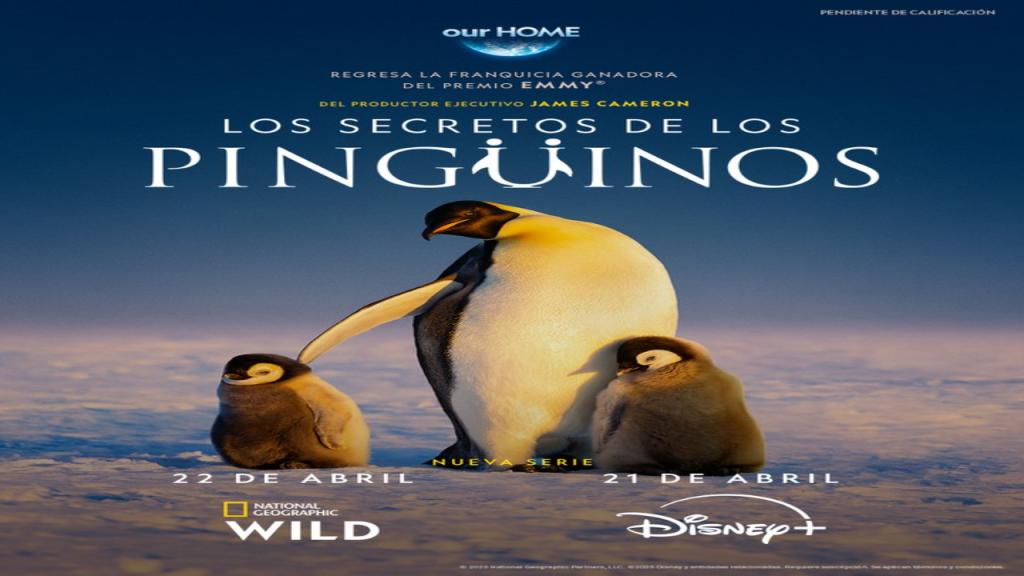 مسلسل Secrets of the Penguins الموسم الاول مترجم