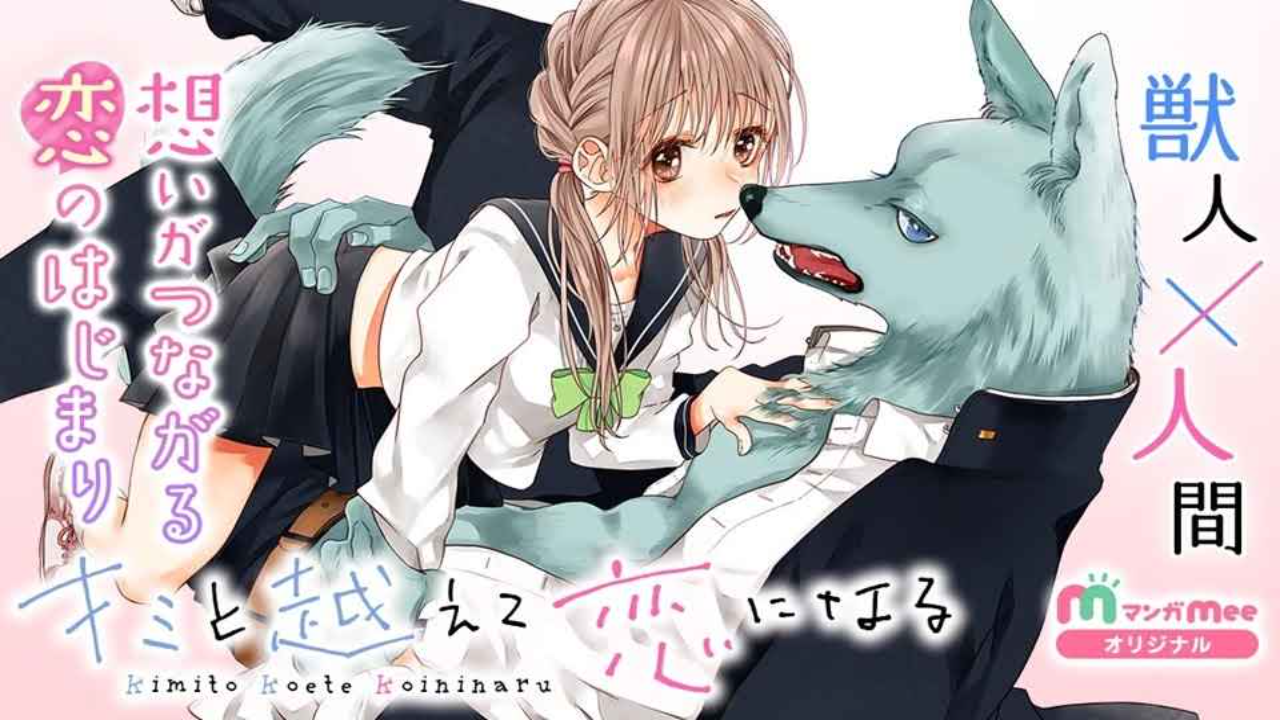 انمي Kimi to Koete Koi ni Naru الحلقة 13 مترجمة