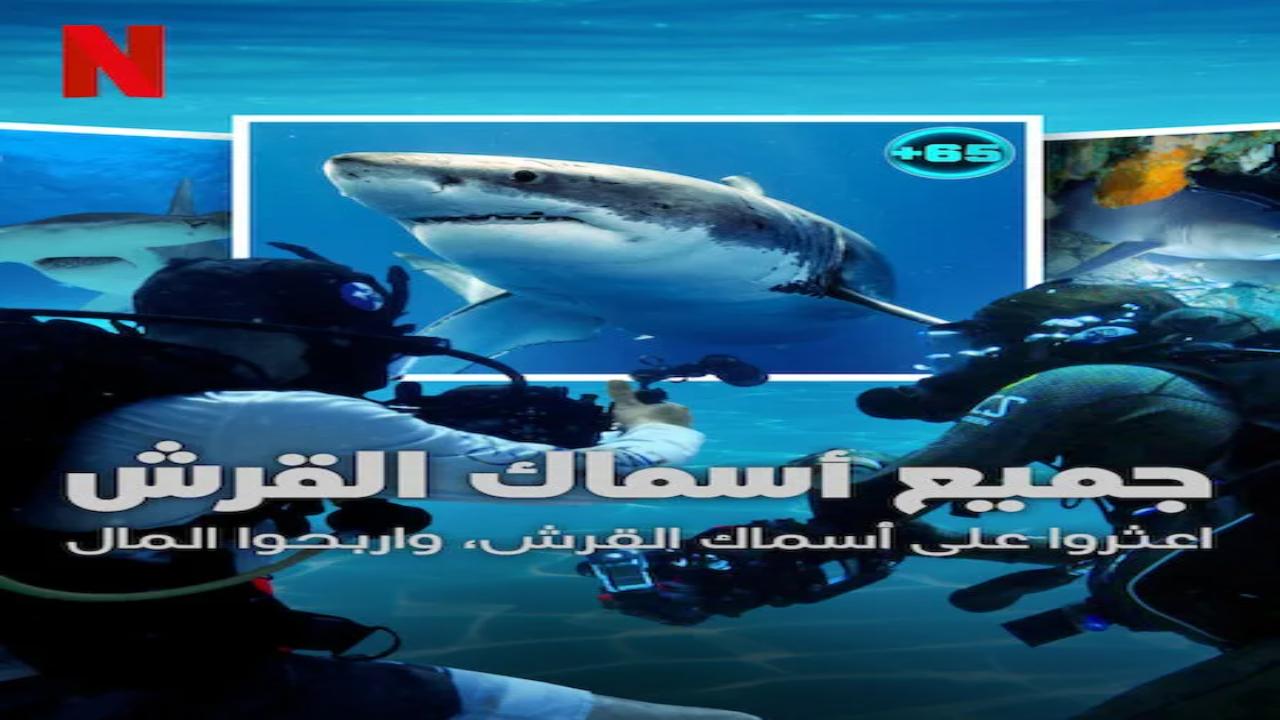 برنامج All the Sharks الموسم الاول الحلقة 6 والاخيرة مترجمة